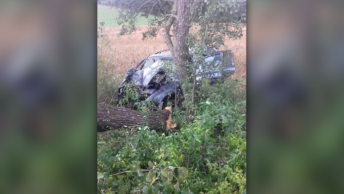 Tragická nehoda v okrese Rožňava. Vodič neprežil silný náraz do stromu