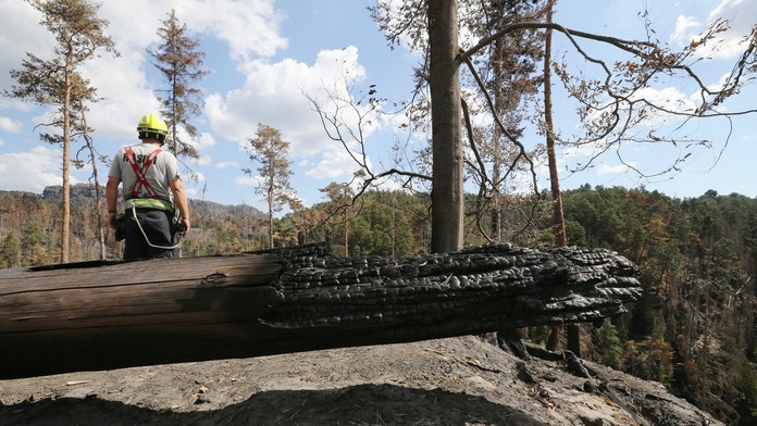 Požiar v Českom Švajčiarsku je zlikvidovaný. Hasiči so živlom bojovali 20 dní