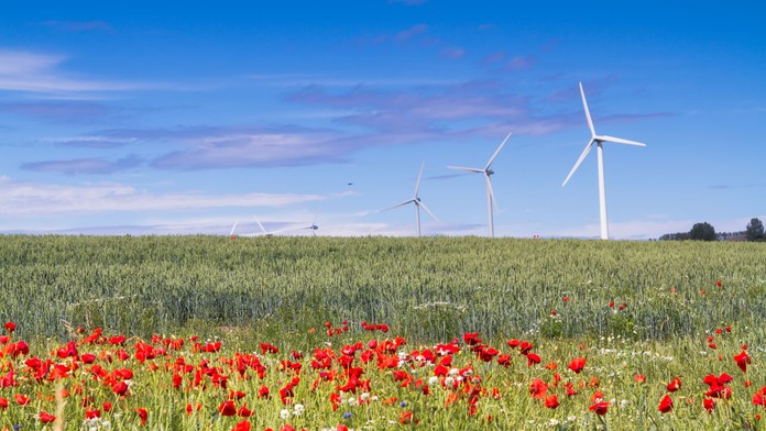 Je svetovým lídrom veternej energetiky a jednou z najšťastnejších krajín sveta. V čom si Slovensko môže vziať príklad z Dánska?