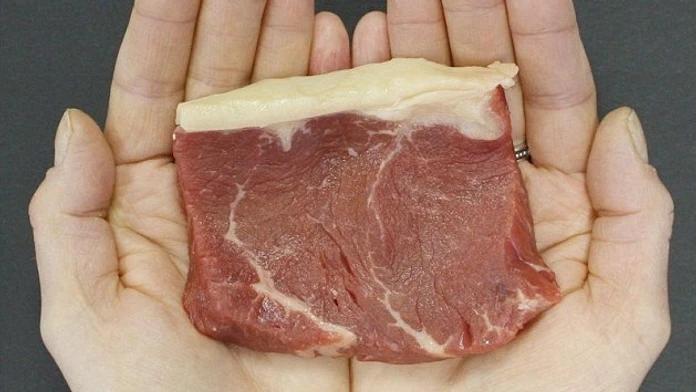 3395239B00000578-3559914-A_portion_of_red_meat_is_120g_and_has_162_calories_and_5_4g_of_f-a-1_1461827867615.jpg