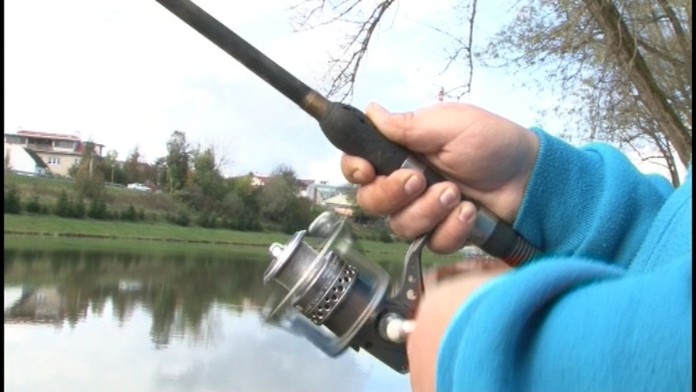 Nepoučiteľný pytliak dostal rok väzenia nepodmienečne