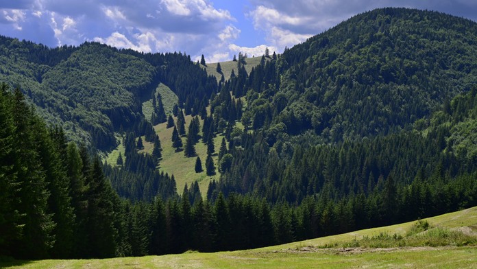 Kopanecké lúky v NP Slovenský raj.