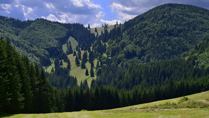 Kopanecké lúky v NP Slovenský raj.