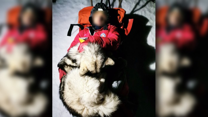 Husky 13 hodín vlastným telom zohrieval zraneného horolezca