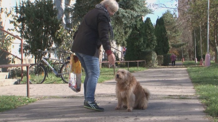 Tulák Ťapko s obyvateľkou Partizánskeho.