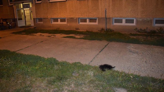 02. prvá skupinka.mp4