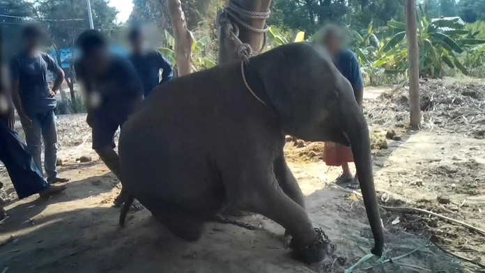 Na snímke Peter Pellegrini 