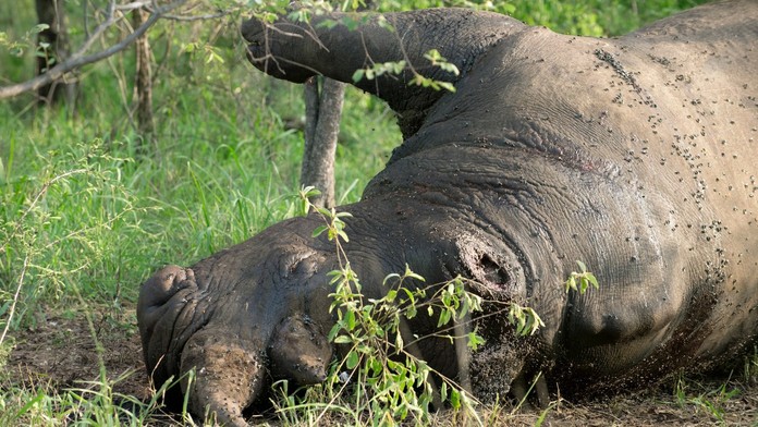 Ilustračné zábery.