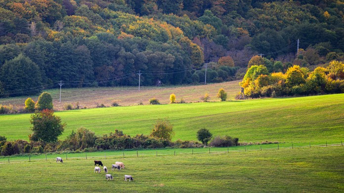 Príroda v jesenných farbách pri Hrušove