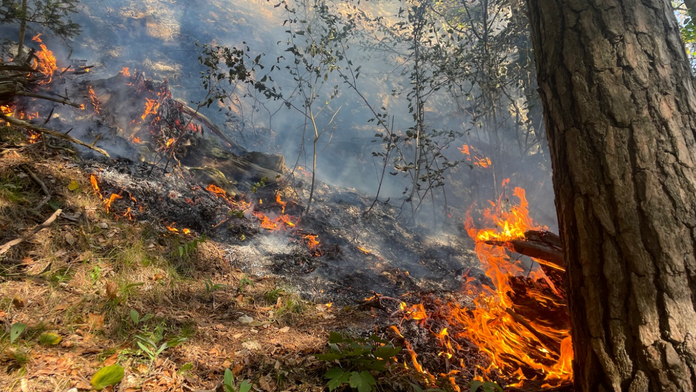 Požiar v lokalite pod Tomášovským výhľadom.