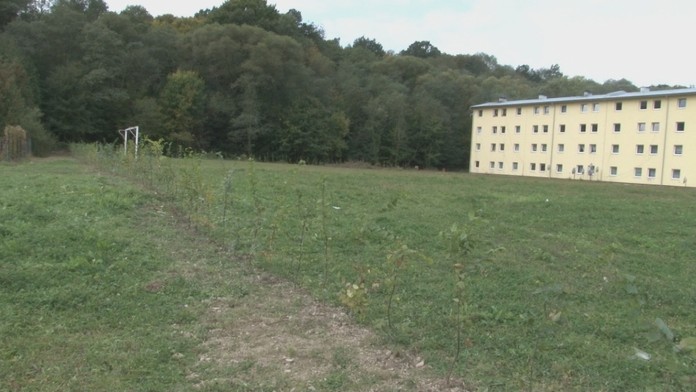 Stromy považujú za segregáciu