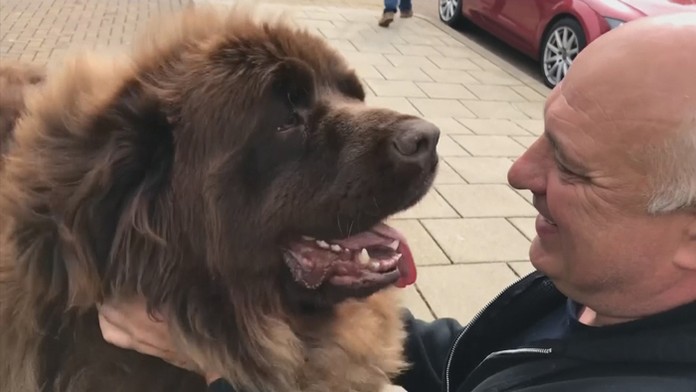 2019-05-15_PTN-Postranecky.mpg