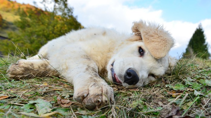 V knihe autori píšu aj o Trumpovej výbušnej povahe. 
