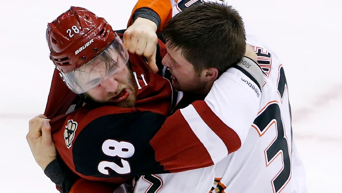 Vľavo Jarred Tinordi (Arizona) a Nick Ritchie (Anaheim) na archívnej snímke.