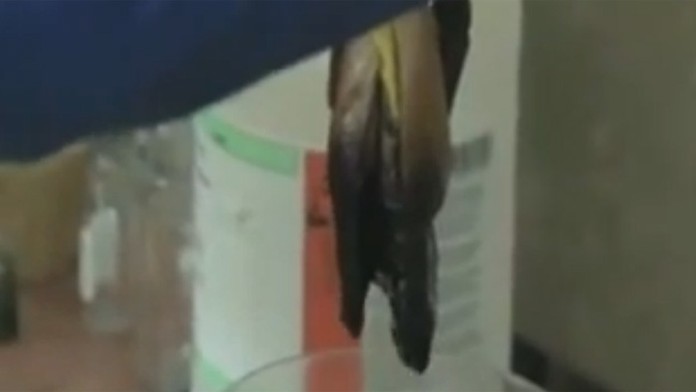 Toto sa deje s hamburgerom vo vašom žalúdku.