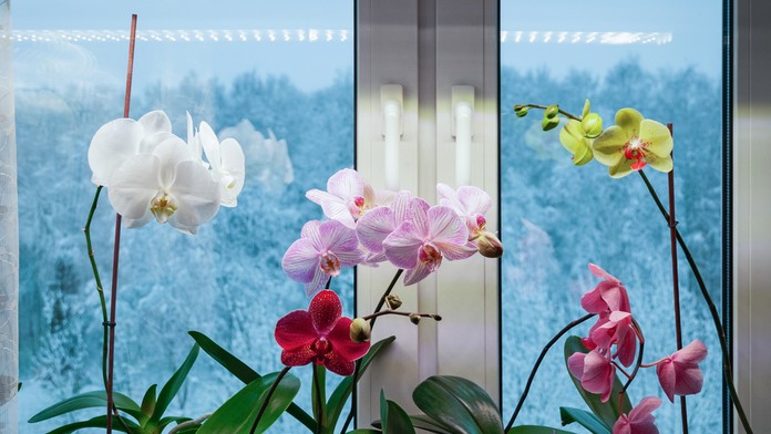 Ilustračná snímka