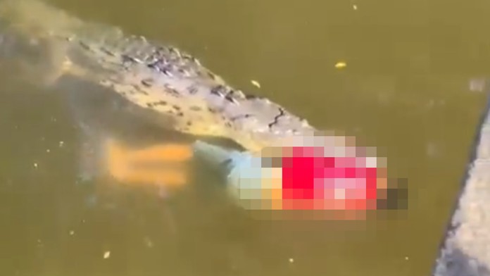 VIDEO: Futbalistu počas kúpania v rieke zabil krokodíl. Aby získali telo nebožtíka, obrovského plaza museli zastreliť
