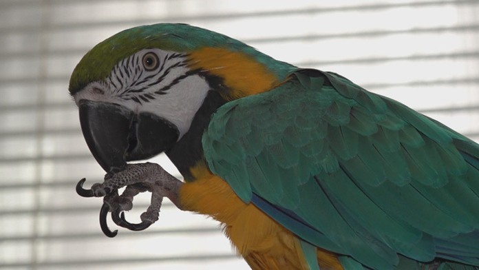 Ilustračná snímka.