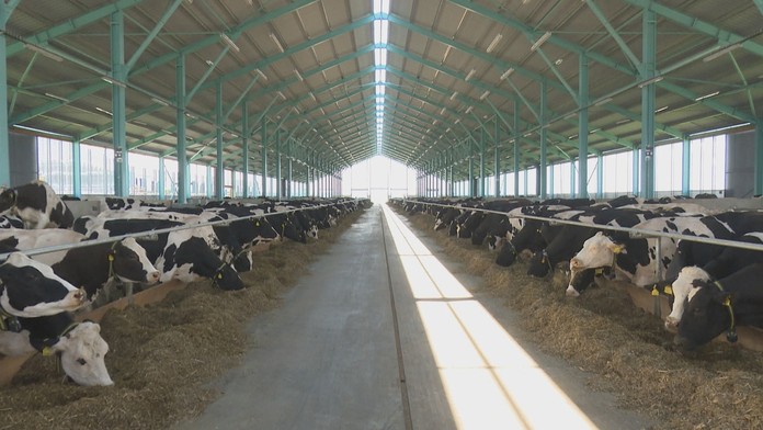 Kritizovaný kompromis