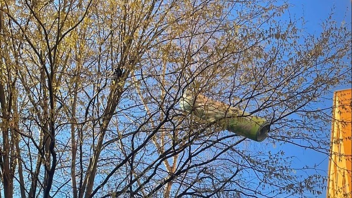 Hasiči v Prešove museli odstrániť koberec z koruny stromov.