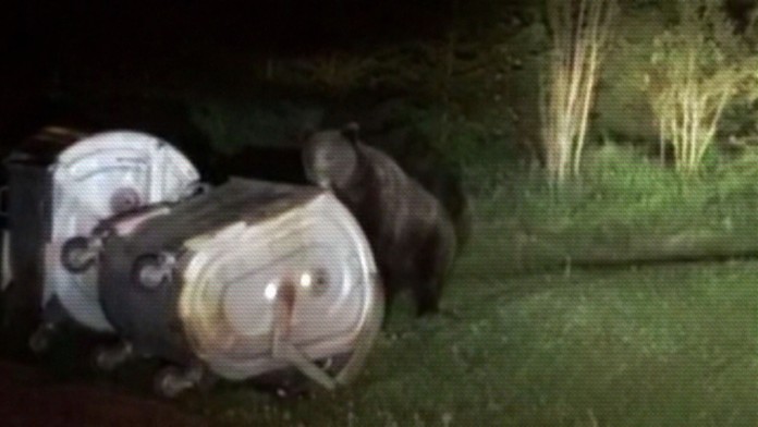 Záber z bezpečnostnej kamery.