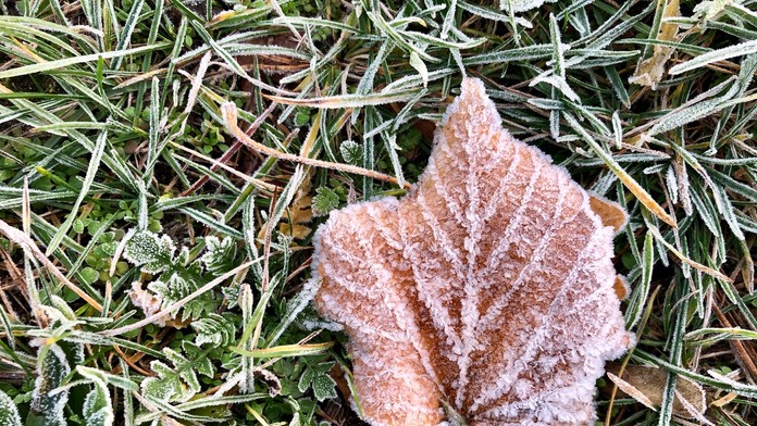 Ilustračná snímka