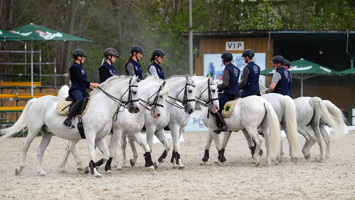 Národný žrebčín v Topoľčiankach.