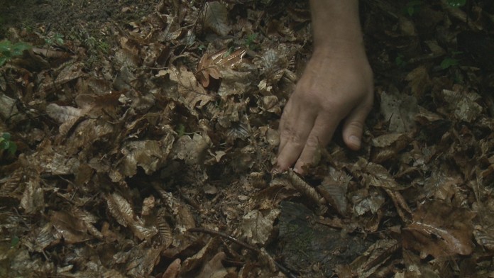 Predseda Smer-SD Robert Fico.