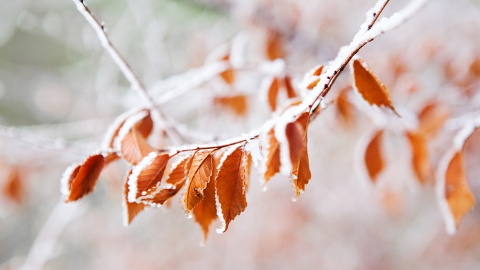 Ilustračná snímka