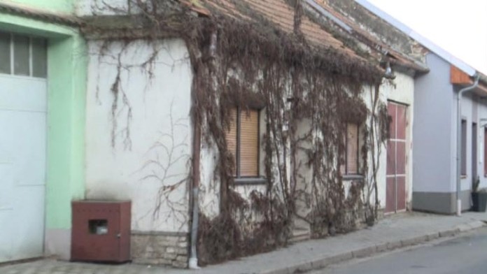 Mŕtve deti v dome v Břeclavi.