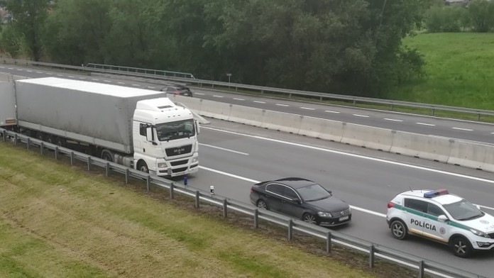 Socha zajaca od Jeffa Koonsa