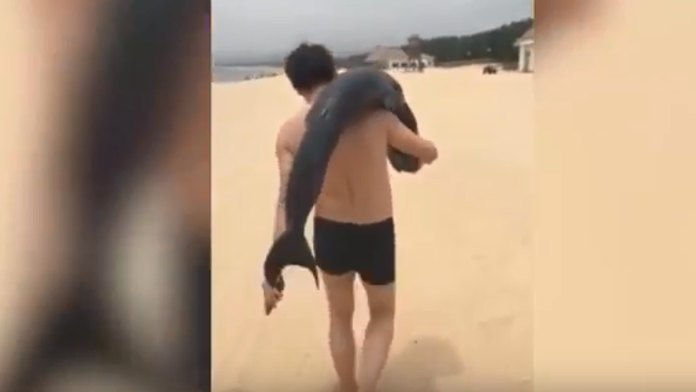 Nie je jasné, prečo si muž zviera odniesol. 