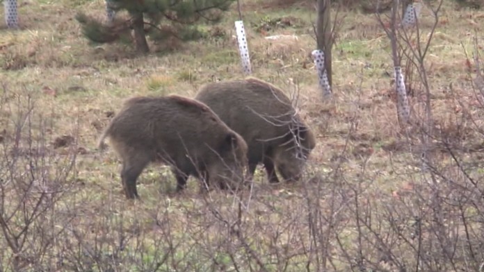 Ilustračná snímka