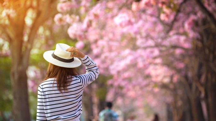 Po chladnom víkende príde teplotný šok. Veľká noc prinesie počasie ako v lete (+ predpoveď)