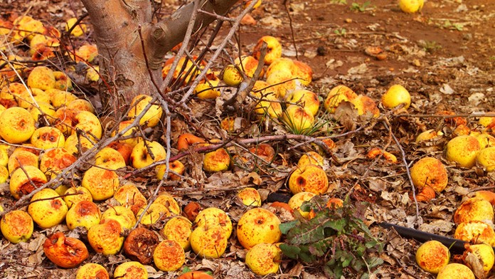 Ilustračná snímka.