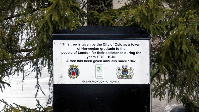 Kedy privezú druhú polovicu? Vianočný strom z Nórska sa stal terčom posmeškov