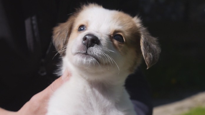 Ilustračná snímka