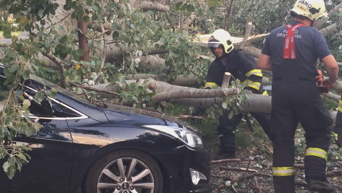 Strom spadol na auto v Bratislave