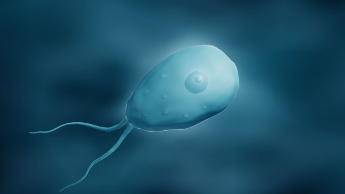 Hygienici prehovorili o smrteľnom parazitovi vo vode: Pri kúpaní dodržiavajte tieto základné pravidlá