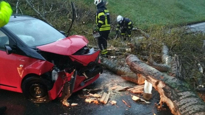 Spadnutý strom v Bratislave pre silný vietor