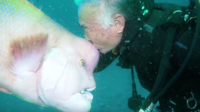 Netradičné priateľstvo. Potápač sa už 25 rokov kamaráti s rybou