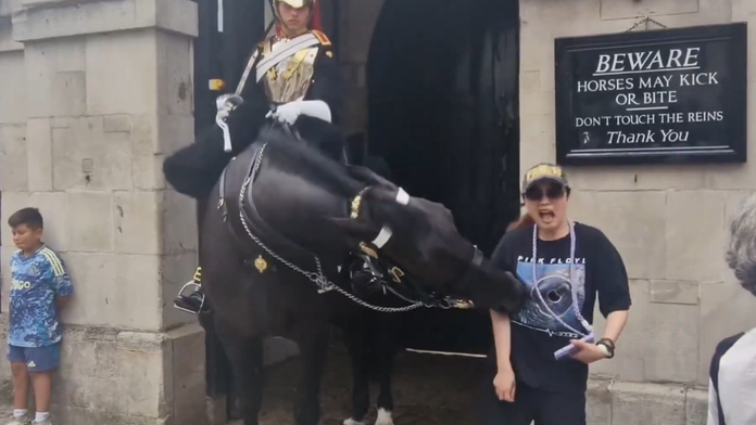 VIDEO: Kôň kráľovskej gardy uhryzol turistku, po chvíli sa zložila k zemi