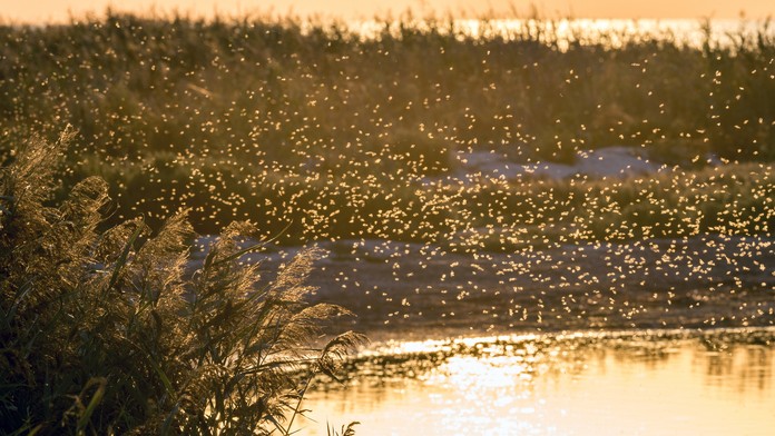 Nemocnica v ruskom meste Omsk