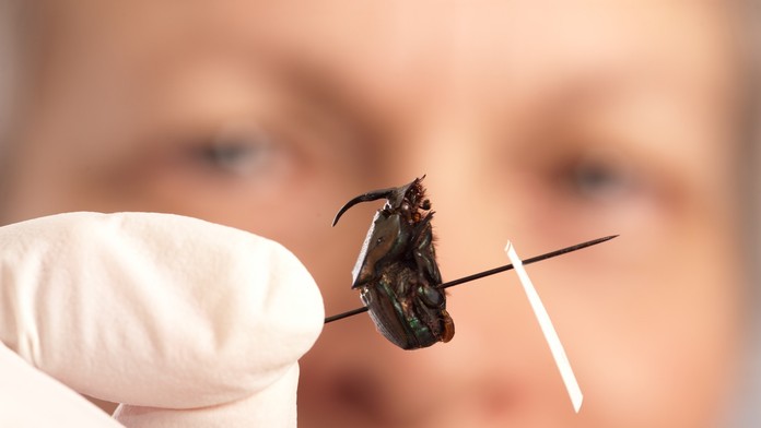 Ilustračná snímka.