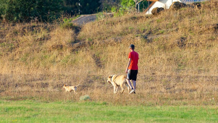 Išiel vyvenčiť psa, domov sa už nevrátil. 