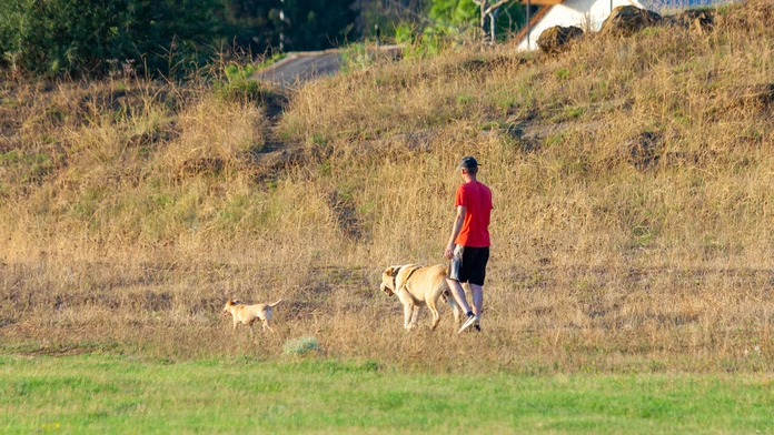 Išiel vyvenčiť psa, domov sa už nevrátil. 