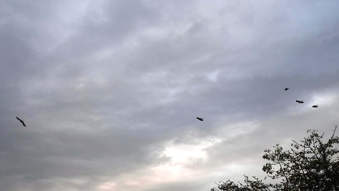 Obloha nad Slovenskom bude pár dní šedá až žltkastá. Odborníci vysvetlili dôvod