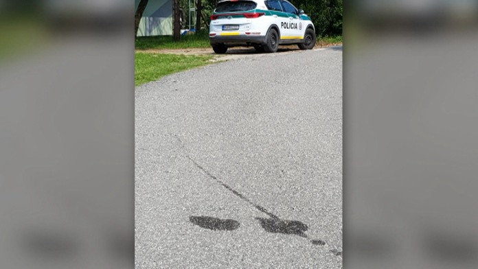 Policajti si vraj psa pomýlili s kameňom.