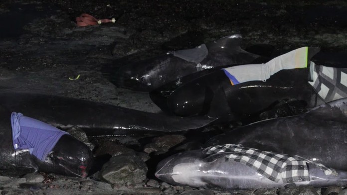 Edie Hallbergová mala v čase streľby v nákupnom centre mamu.