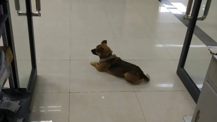 Ilustračná snímka..jpg